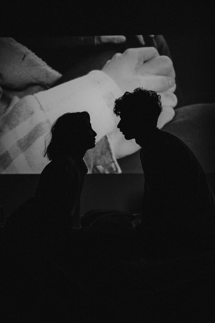 Services Silhouette of a romantic couple facing each other in a darkened room with a projector background.